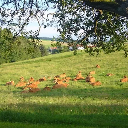 2 Siefertshof Comfortable Casa de Férias Furstengrund