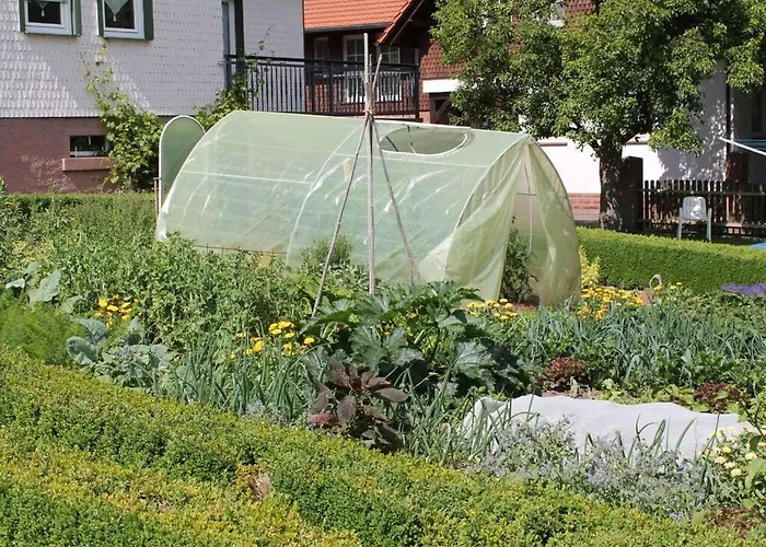 Hébergement de vacances 2 Siefertshof Comfortable