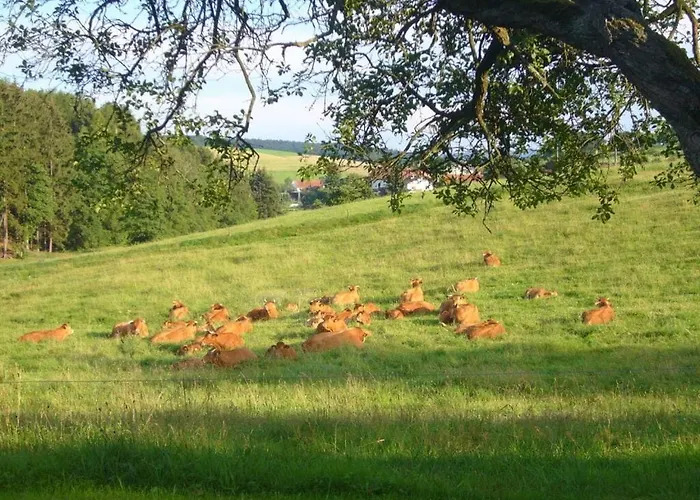 2 Siefertshof Comfortable Hébergement de vacances Furstengrund